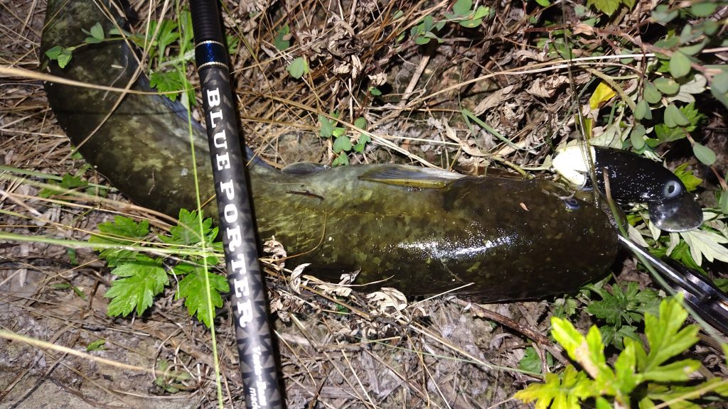 T&A前田慎悟様のレポート