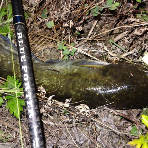 T&A前田慎悟様のレポート