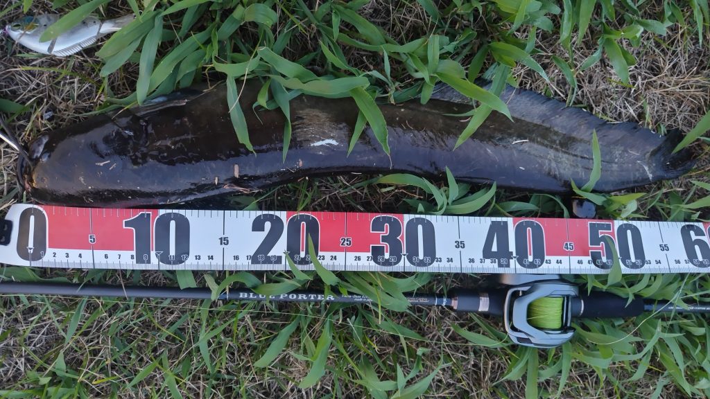 T&A前田慎悟様のレポート