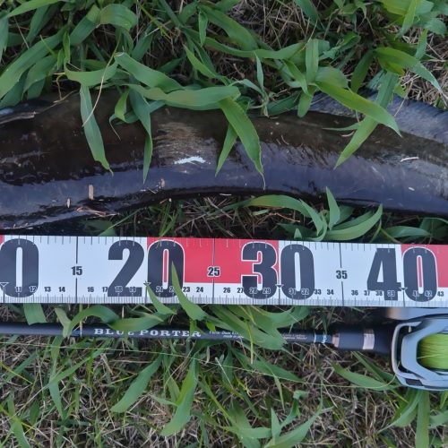 T&A前田慎悟様のレポート