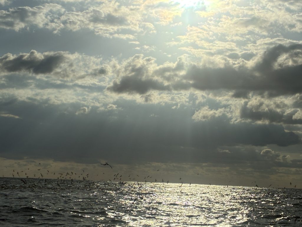 T＆A白澤政記様のレポート