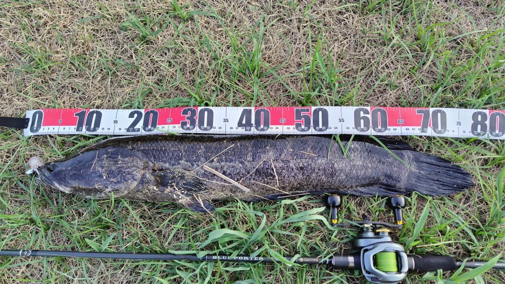 T&A前田慎悟様のレポート