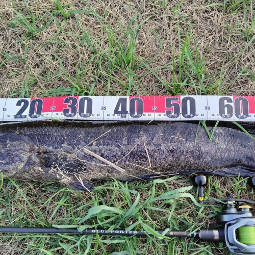 T&A前田慎悟様のレポート