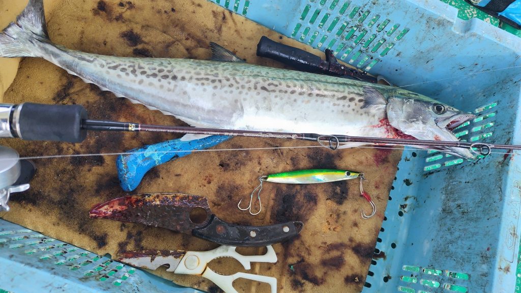 T&A前田慎悟様のレポート