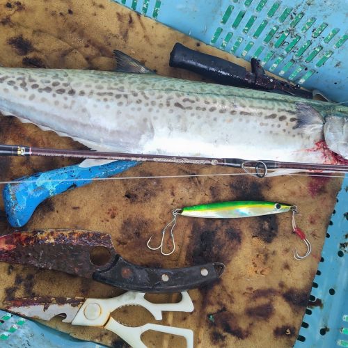 T&A前田慎悟様のレポート