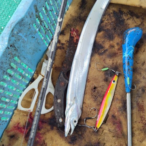 T&A前田慎悟様のレポート