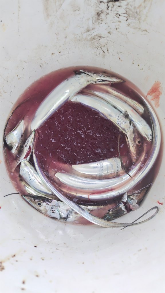 T&A前田慎悟様のレポート