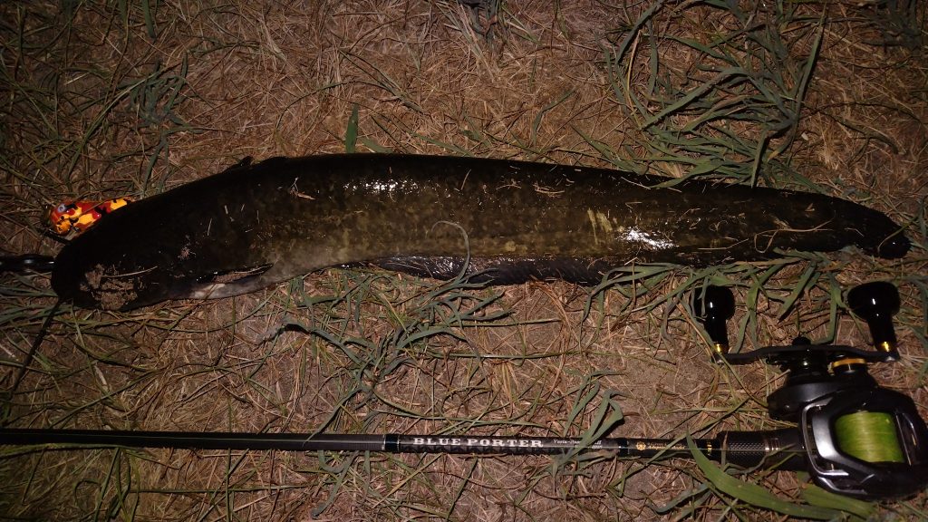 T&A前田慎悟様のレポート