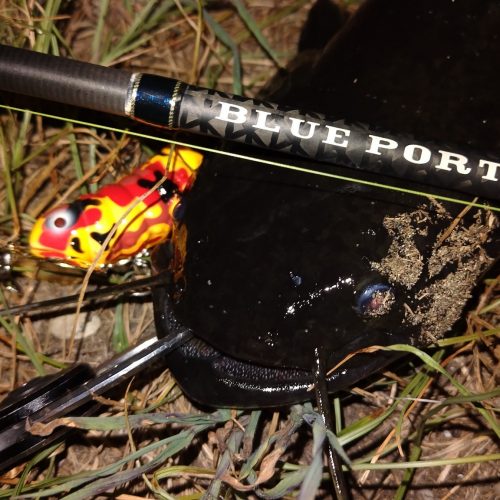 T&A前田慎悟様のレポート