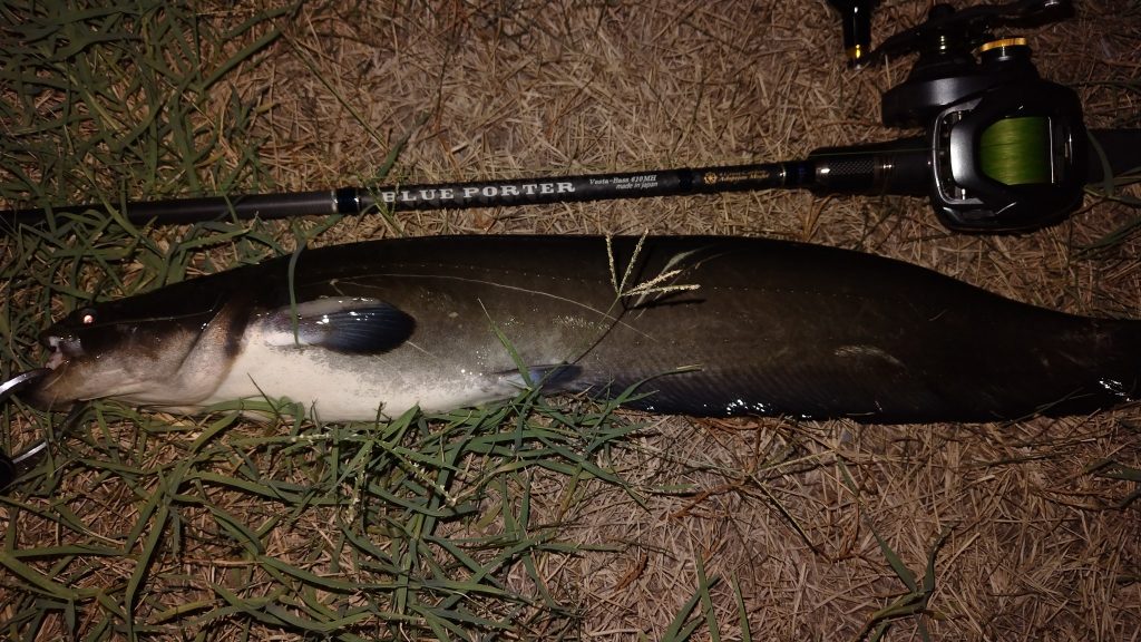 T&A前田慎悟様のレポート