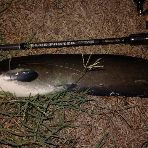 T&A前田慎悟様のレポート