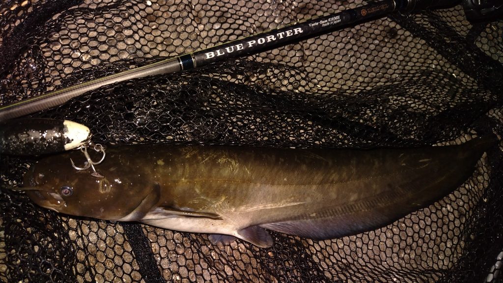 T&A前田慎悟様のレポート