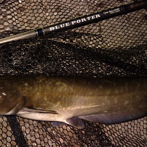 T&A前田慎悟様のレポート