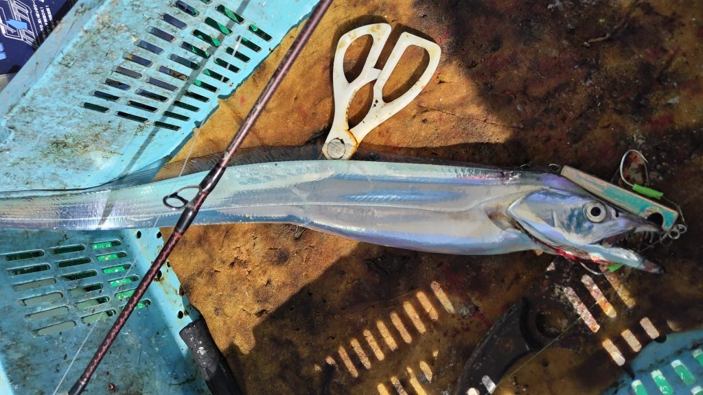 T&A前田慎悟様のレポート