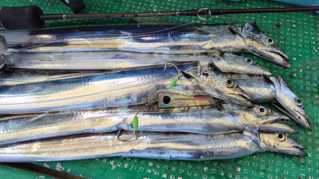 T&A前田慎悟様のレポート