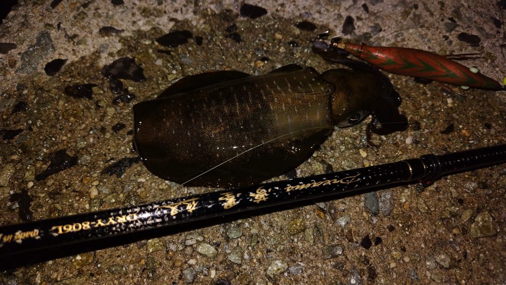 T&A前田慎悟様のレポート