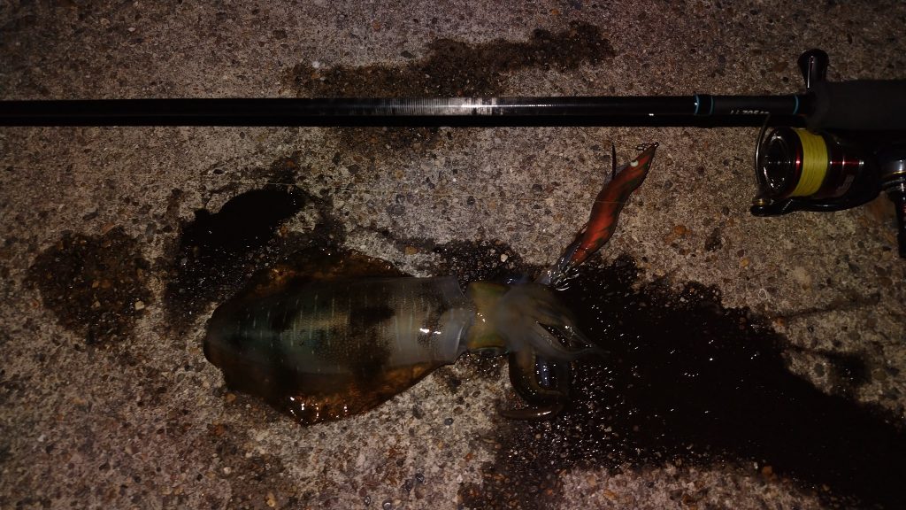 T&A前田慎悟様のレポート