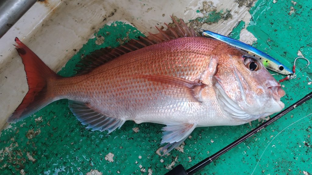 T&A前田慎悟様のレポート