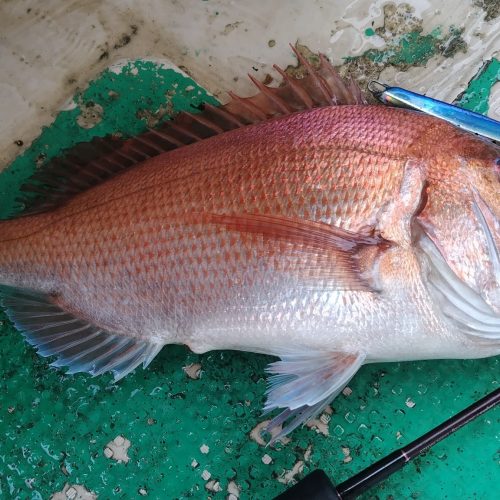 T&A前田慎悟様のレポート