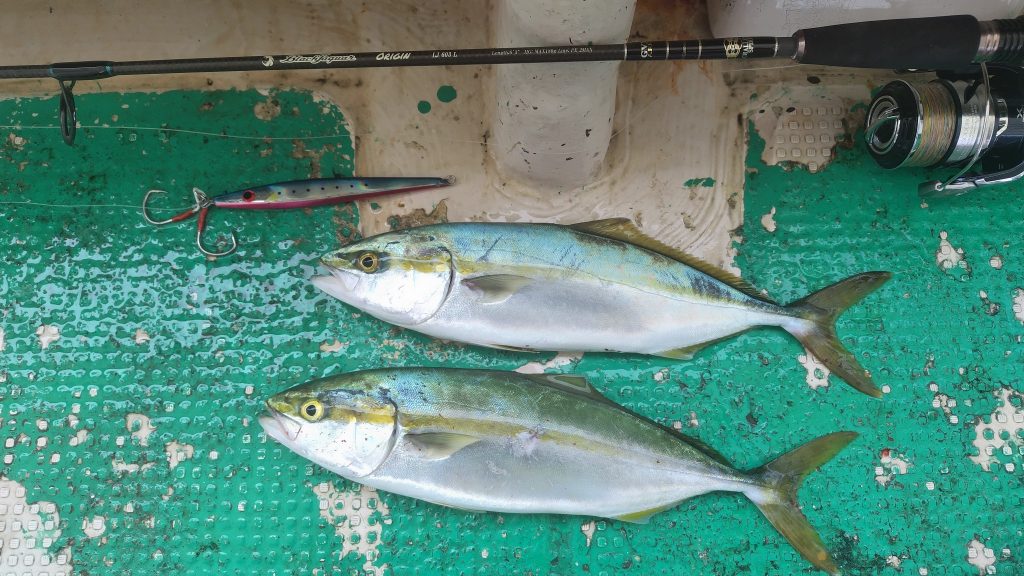 T&A前田慎悟様のレポート