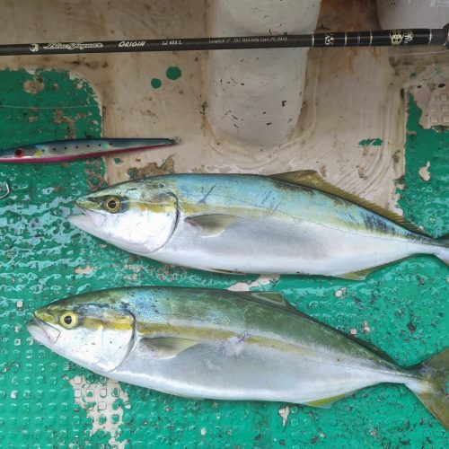 T&A前田慎悟様のレポート