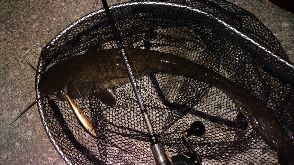 T&A前田慎悟様のレポート