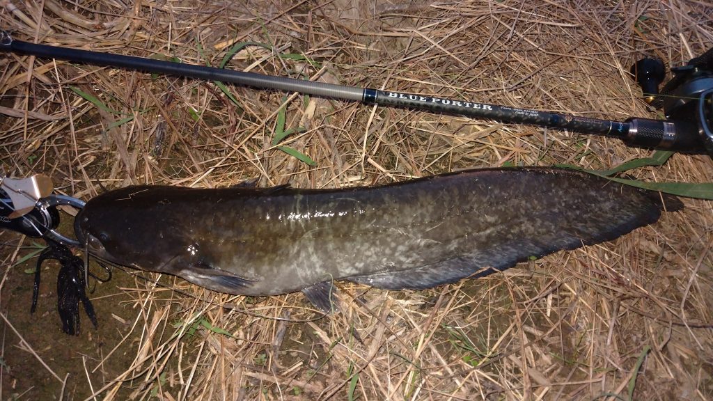 T&A前田慎悟様のレポート