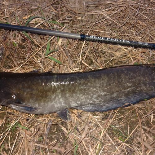 T&A前田慎悟様のレポート