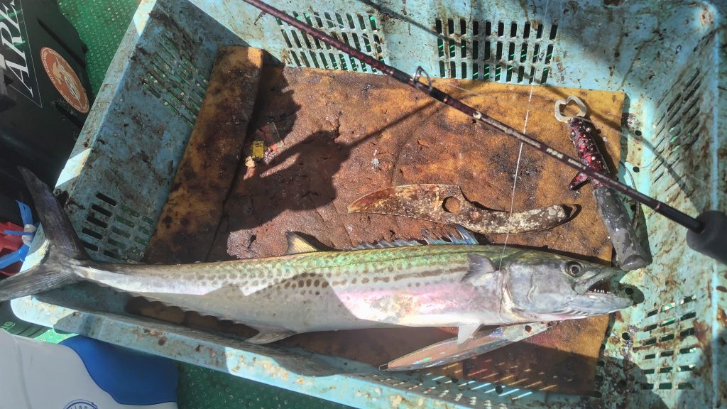 T&A前田慎悟様のレポート