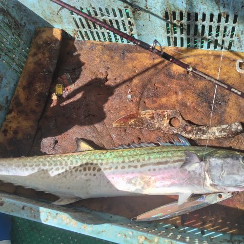 T&A前田慎悟様のレポート