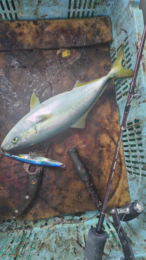 T&A前田慎悟様のレポート