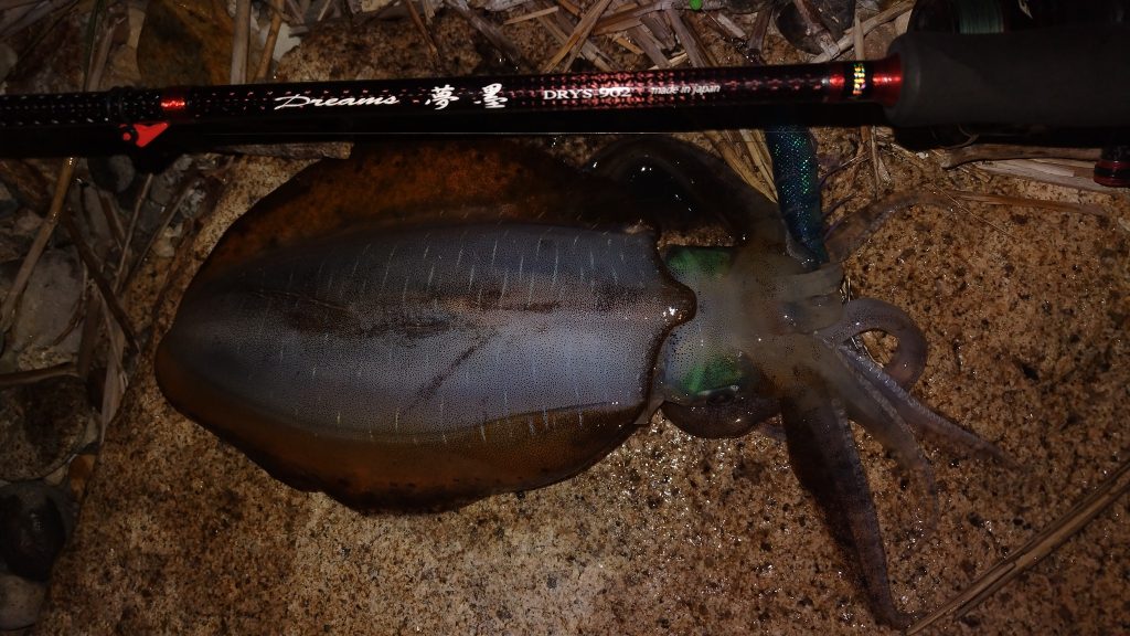 T&A前田慎悟様のレポート