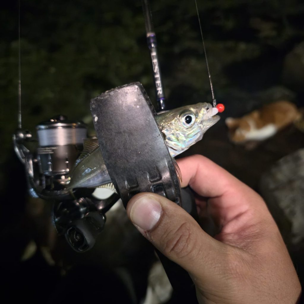 Emre Eren Kullakci様のレポート