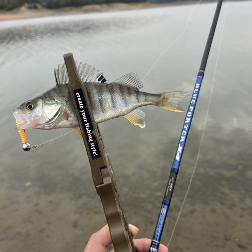 Levent Karakoç 様のレポート