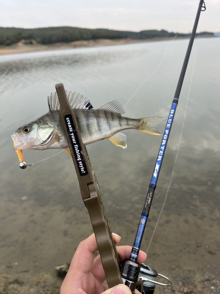 Levent Karakoç 様のレポート