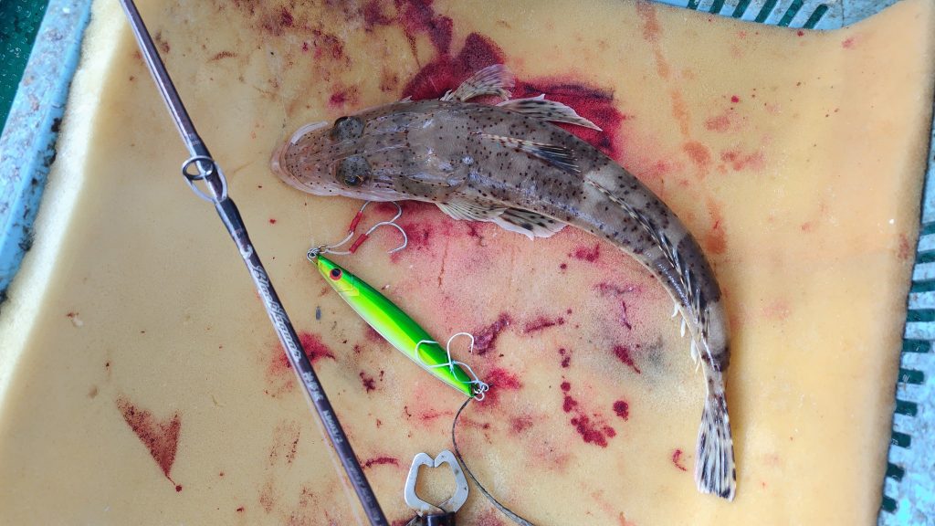 T&A前田慎悟様のレポート