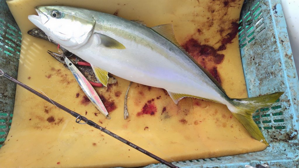 T&A前田慎悟様のレポート