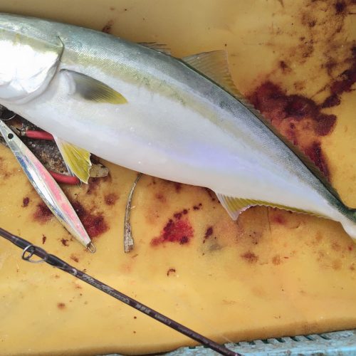 T&A前田慎悟様のレポート