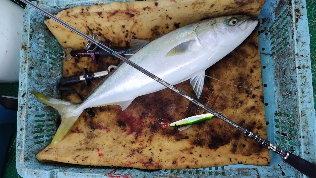 T&A前田慎悟様のレポート