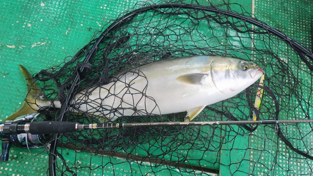 T&A前田慎悟様のレポート