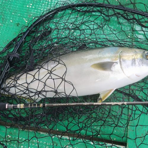 T&A前田慎悟様のレポート