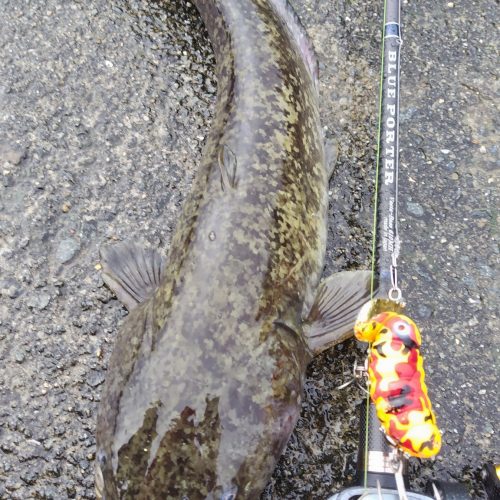 T&A前田慎悟様のレポート