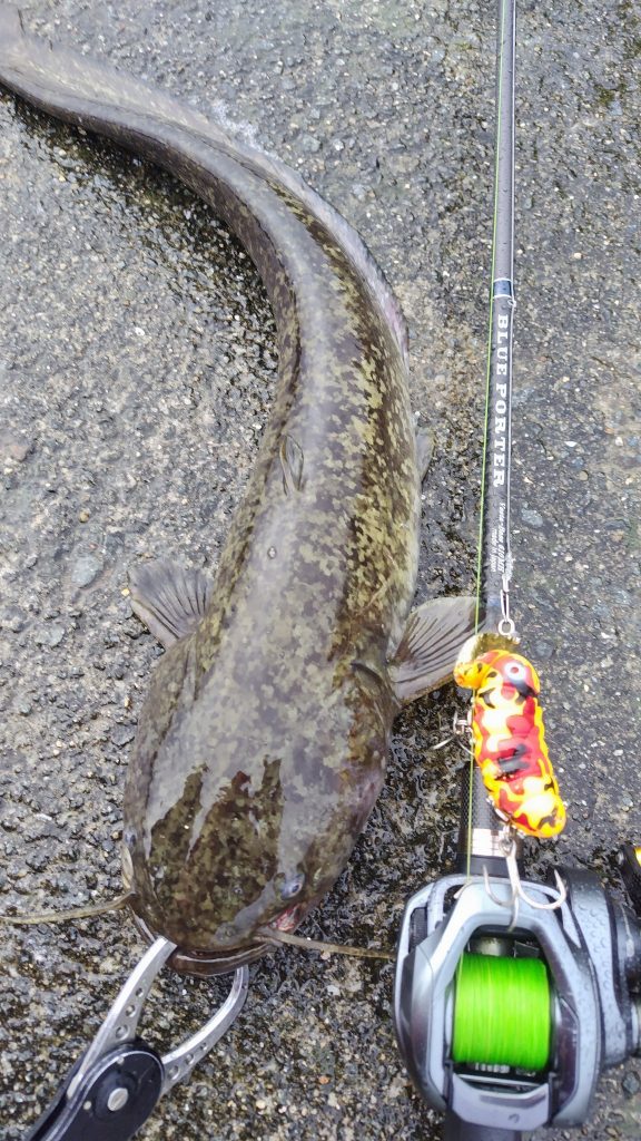 T&A前田慎悟様のレポート