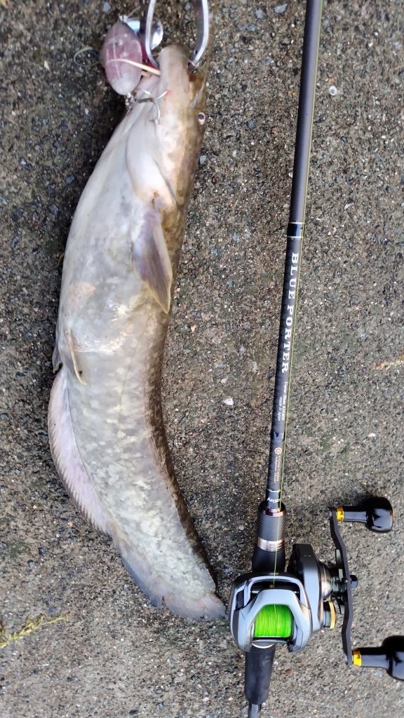 T&A前田慎悟様のレポート