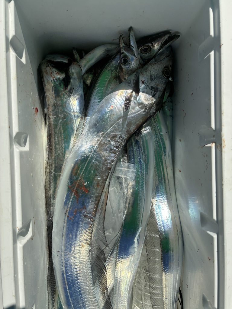 T＆A白澤政記様のレポート