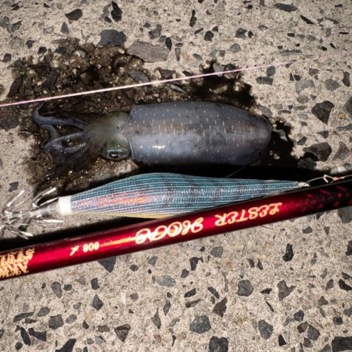 吉武洋平様のレポート