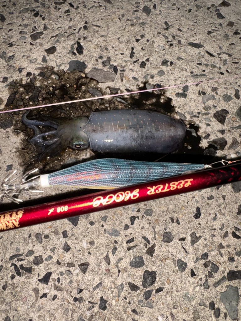 吉武洋平様のレポート