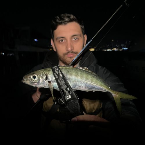 Levent Karakoç 様のレポート