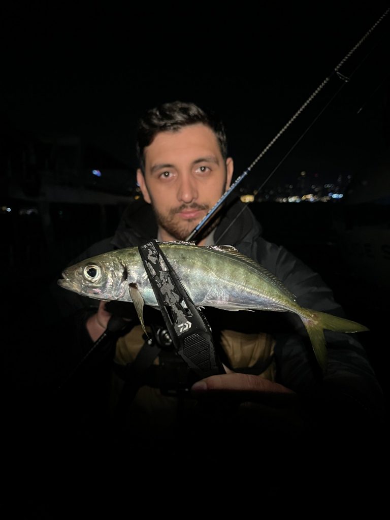 Levent Karakoç 様のレポート