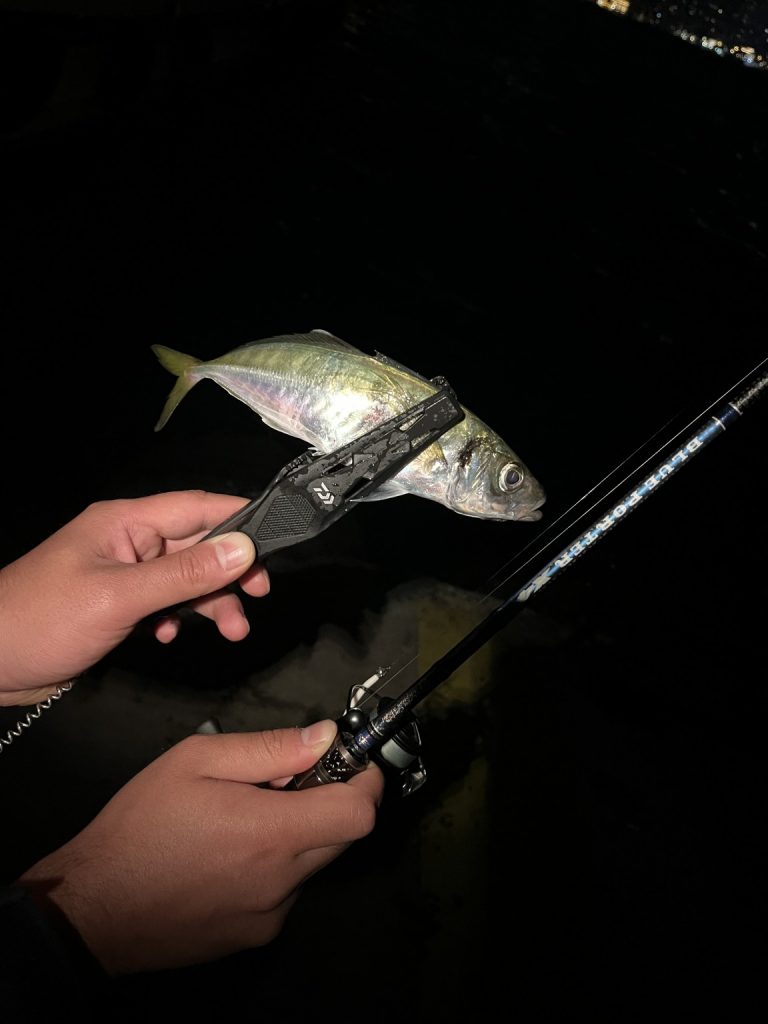 Levent Karakoç 様のレポート